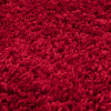 Ritchie Red Rug